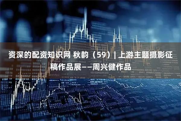 资深的配资知识网 秋韵（59）| 上游主题摄影征稿作品展——周兴健作品