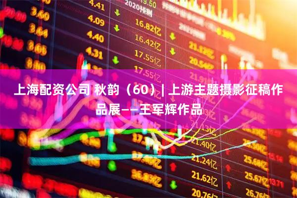 上海配资公司 秋韵（60）| 上游主题摄影征稿作品展——王军辉作品